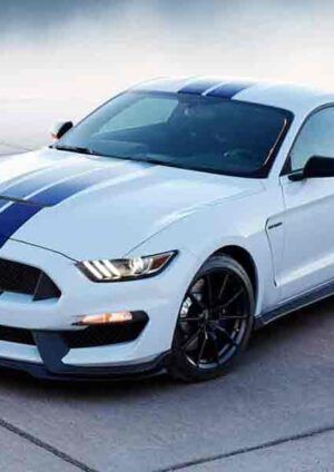 The Jaguar XK on Display at The 81st Motor Show