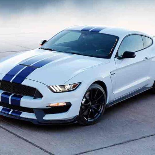 The Jaguar XK on Display at The 81st Motor Show