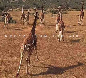 You can travel the good life, travel motivation