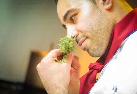 Healthy With Fresh Greens for Weight Loss, Detox