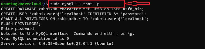 install Zabbix on an Ubuntu system-4