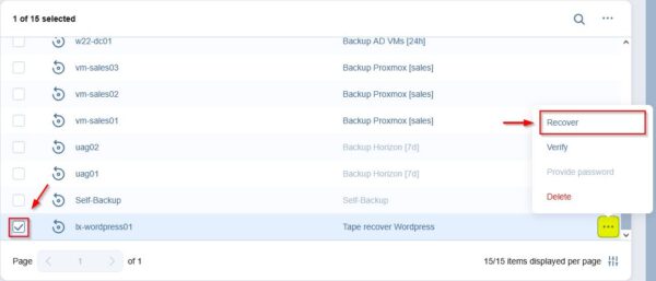 nakivo backup to tape configuration 43 600x257 1