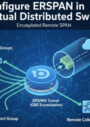 Configure ERSPAN (Encapsulated Remote SPAN) in virtual Distributed Switch