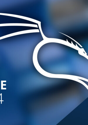 Kali Linux 2025.4 VMware
