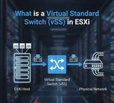 What is a Virtual Standard Switch (vSS) in ESXi