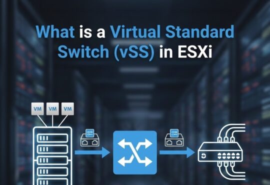 What is a Virtual Standard Switch (vSS) in ESXi