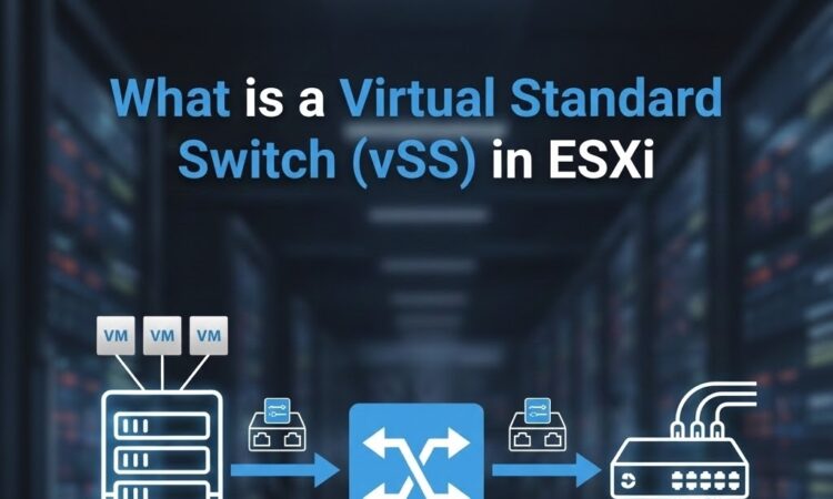 What is a Virtual Standard Switch (vSS) in ESXi