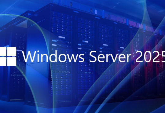 Windows Server 2025 LTSC [10.0.26100.7462], Version 24H2