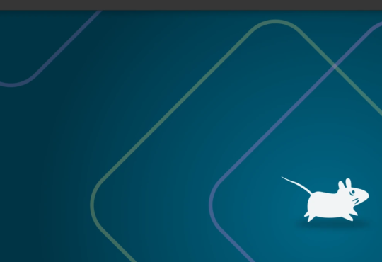 Xfce Desktop Environment Is Getting a Rust-Based Wayland Compositor