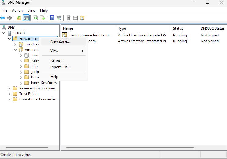 Setting Up a DNS Sinkhole with Windows Server 2025 9 Setting Up a DNS Sinkhole with Windows Server 2025