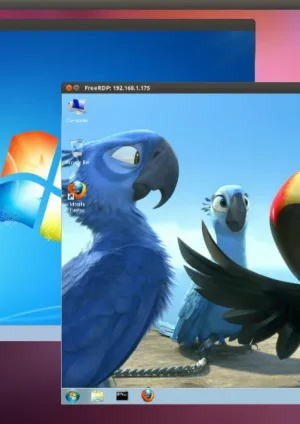 FreeRDP 3.23 Addresses 11 CVEs, Improved SDL Client