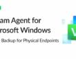 Veeam Agent For Windows 13.0.1.120