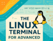 Linux terminal