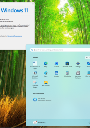 Windows 11 Installation Assistant 25H2 – upgrade your W10 or W11 with the help of this new tool from Microsoft